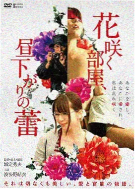 完美世界 动漫推荐